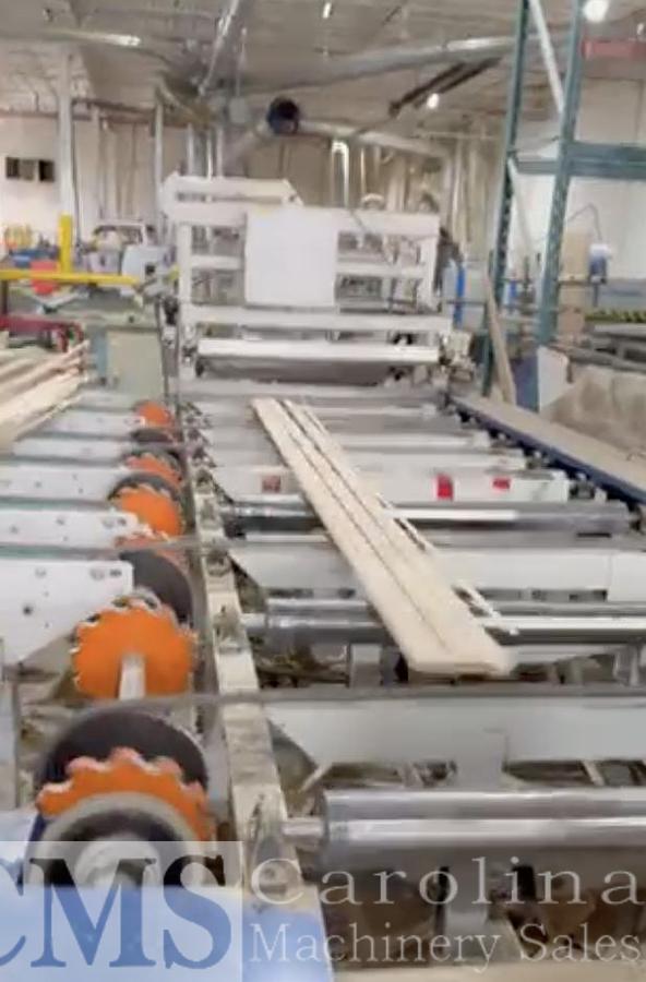 Used Raimann KM310M Gang Rip Saw with Infeed and outfeed