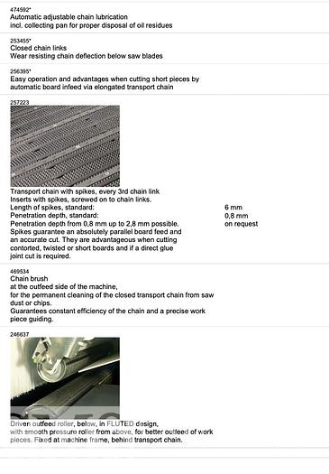 Used 2011 Raimann ProfiRip KR450 4M Rip Saw with ValuRip IV Infeed