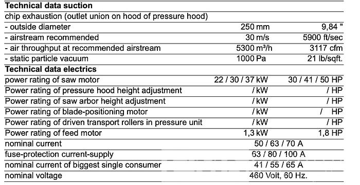Used Raimann Unirip 310 Gang Rip saw