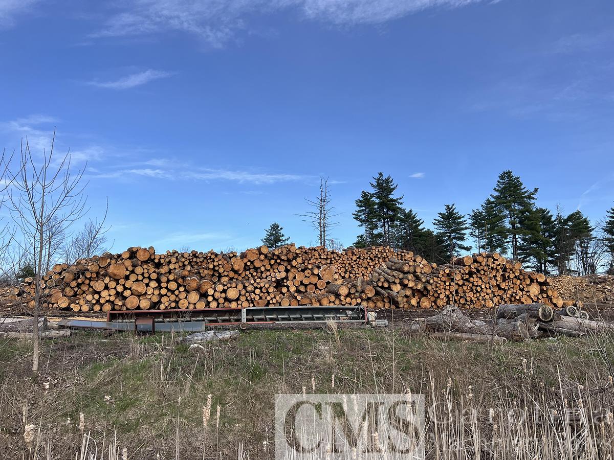 Used Complete Shaving Mill Operation with Land, Drying & Bagging Line Newman, BMM, MEC, Webb, Rethceif, CAT