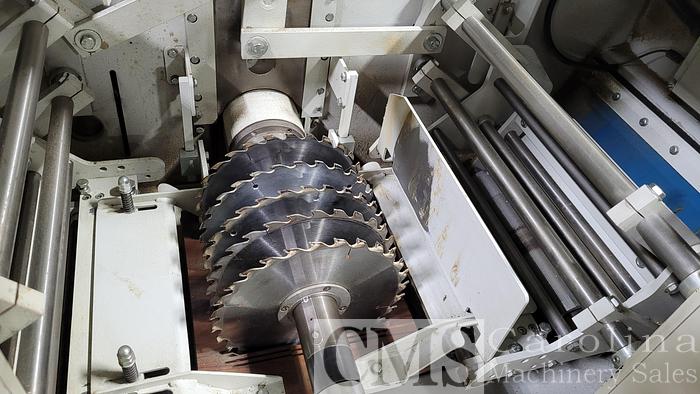 Used 2017 Raiman Unirip 310 Gang Rip saw