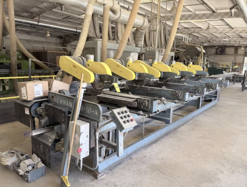 Used Newman KM16 Multiple Head Trim Saw