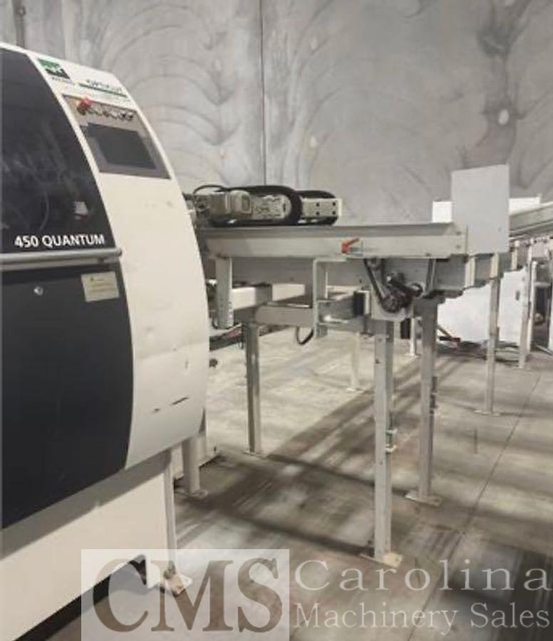 Used Weinig Dimter Opticut 450Q Optimizing Saw
