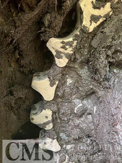 Used 2013 Prentice 2190 Track Harvester