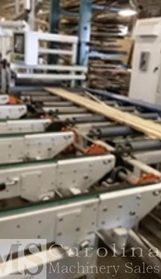 Used Raimann KM310M Gang Rip Saw with Infeed and outfeed