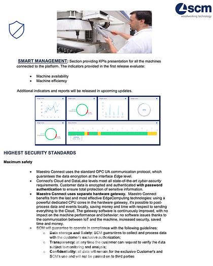 Used 2022 Gabbiani G2 Panel Saw