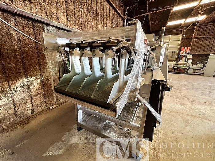 Used 2018 Robopack Prasmatic Automatic Case Packer