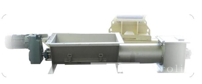 2025 EHW Italia 1 TPH Pellet Line