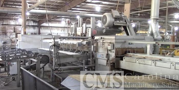 Used Paul AB920 Rip Saw with Infeed & Outfeed