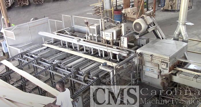 Used Paul AB920 Rip Saw with Infeed & Outfeed