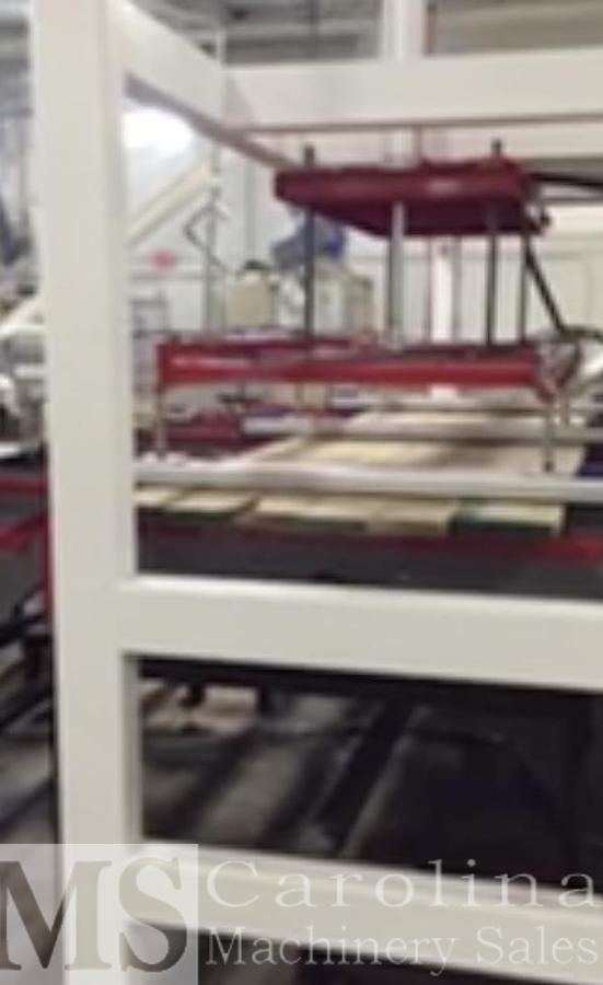 Used Raimann KM310M Gang Rip Saw with Infeed and outfeed