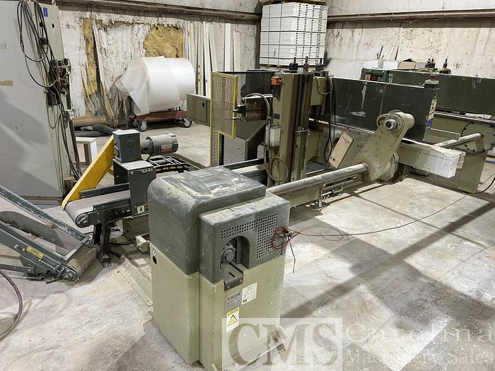 Used Double End Tenoner