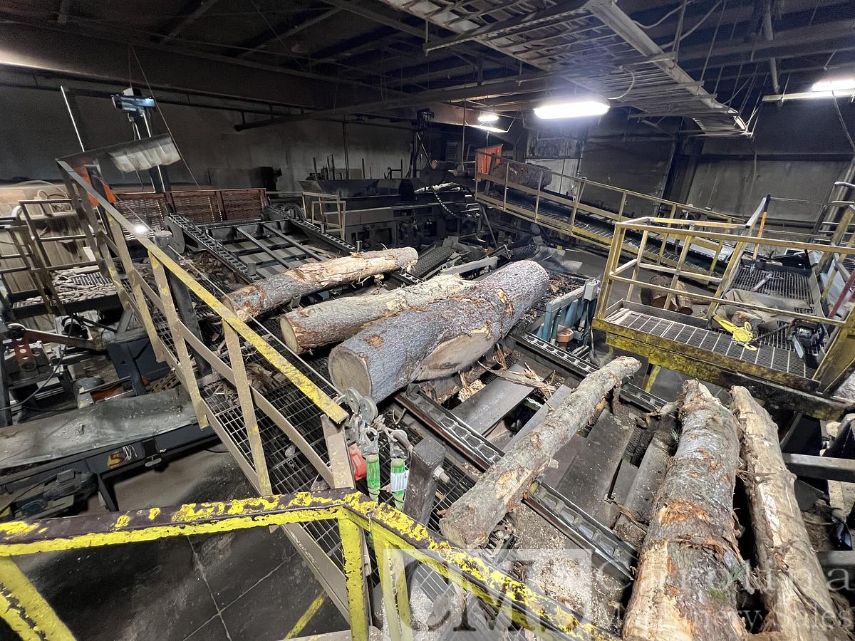 Used Complete Shaving Mill Operation with Land, Drying & Bagging Line Newman, BMM, MEC, Webb, Rethceif, CAT