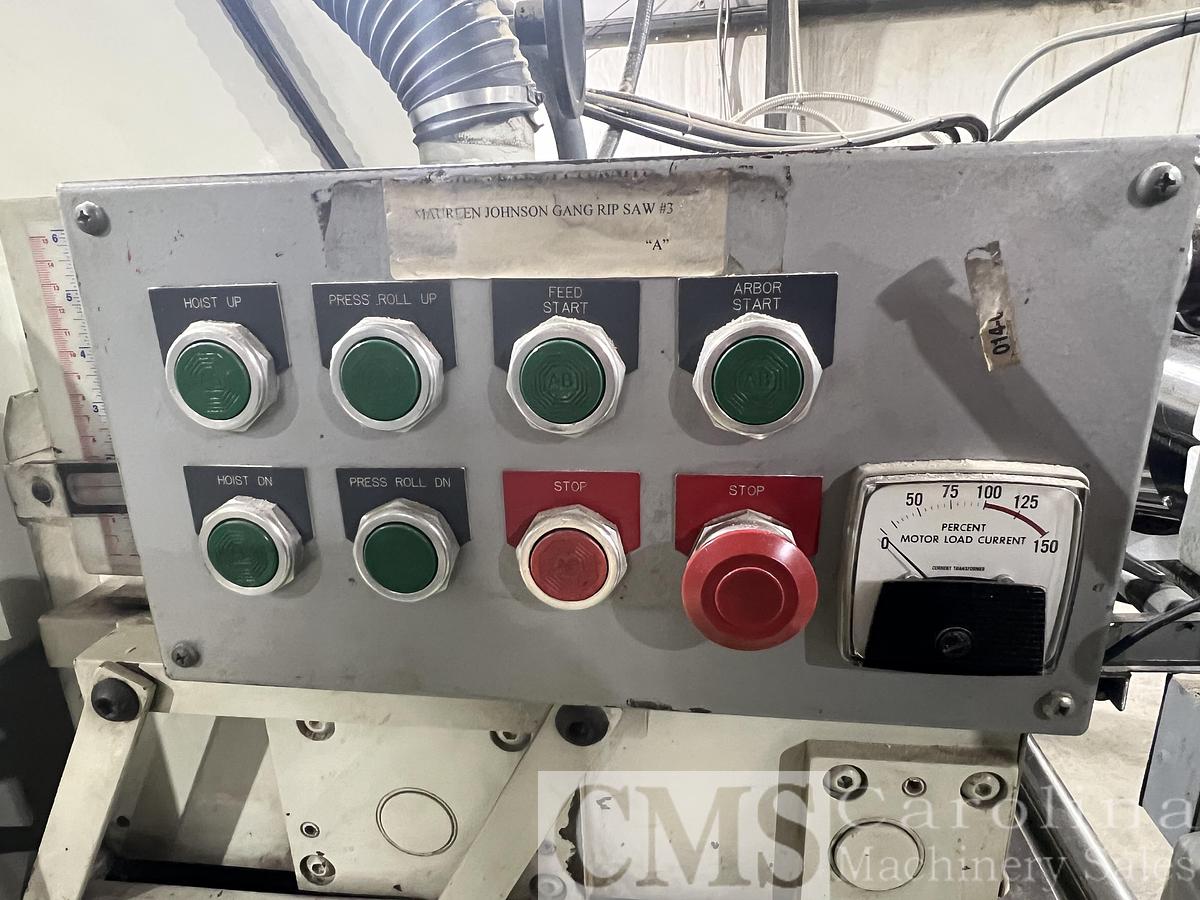 Used Mereen Johnson Model 431 Gang Rip Saw