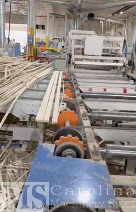 Used Raimann KM310M Gang Rip Saw with Infeed and outfeed