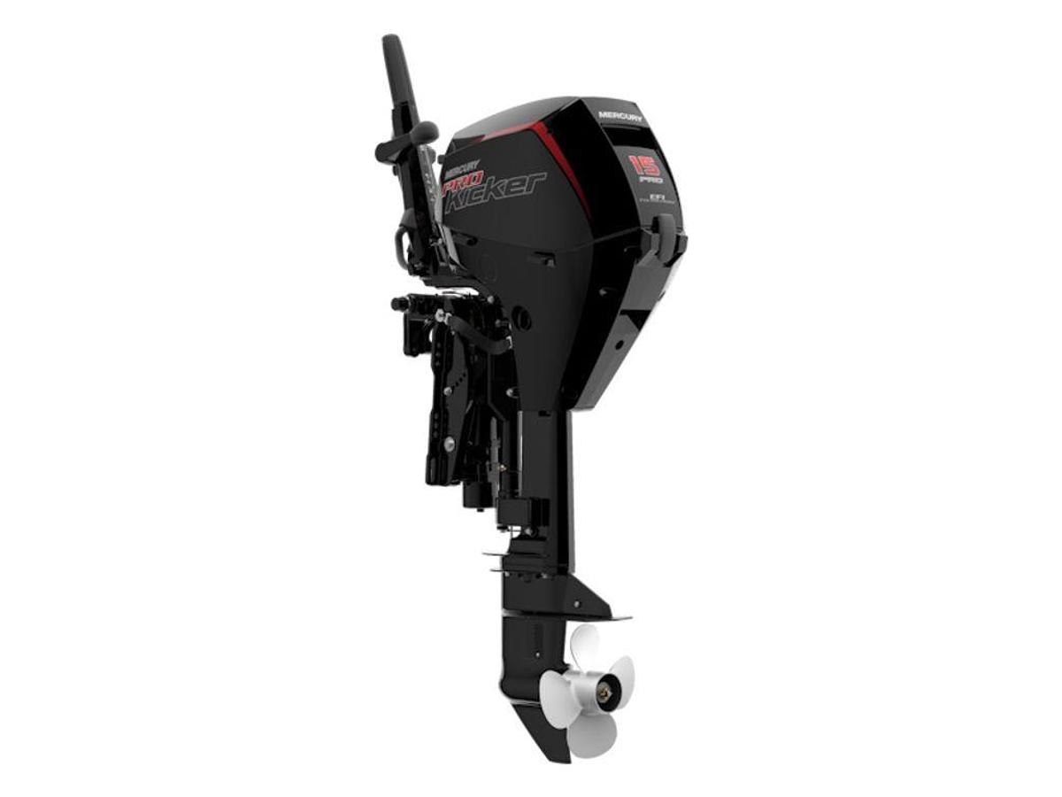 2025 Mercury Marine® FourStroke 15hp EFI ProKicker Base