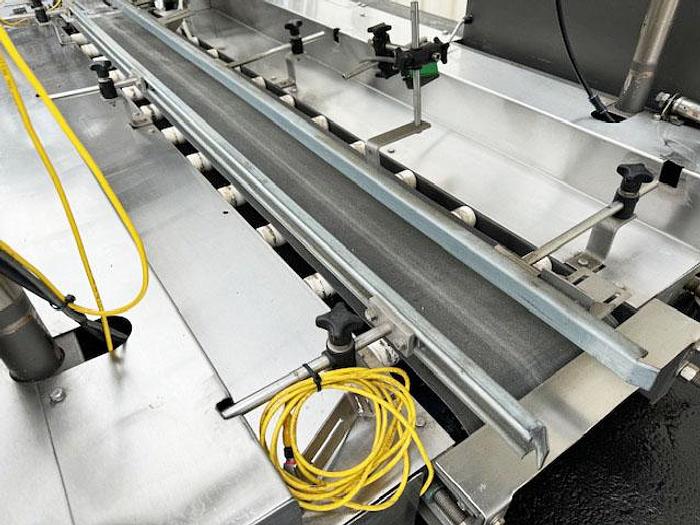 Used Hamrick Automatic Case Packer with Servo Laner