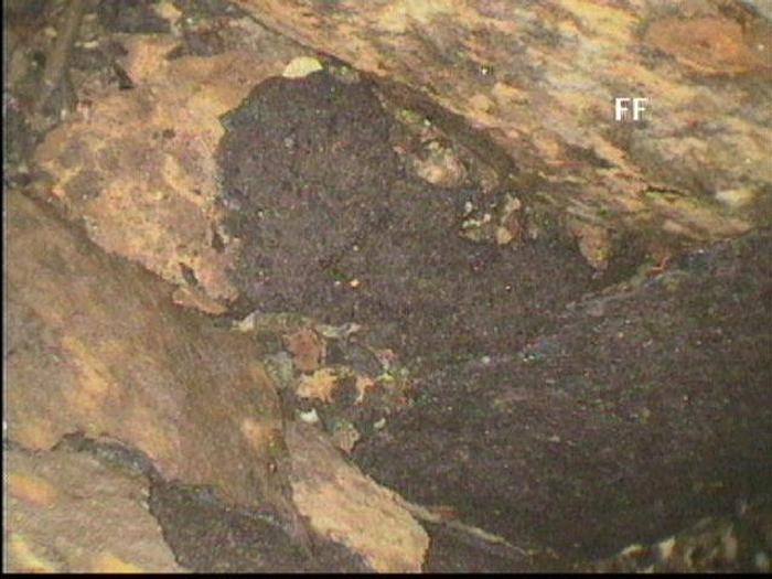 Used NASH CL4001 #12012