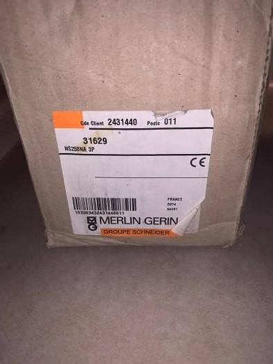 MERLIN GERIN NS250 AT