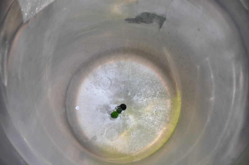 Usato Serbatoio OLSA da 200 Litri