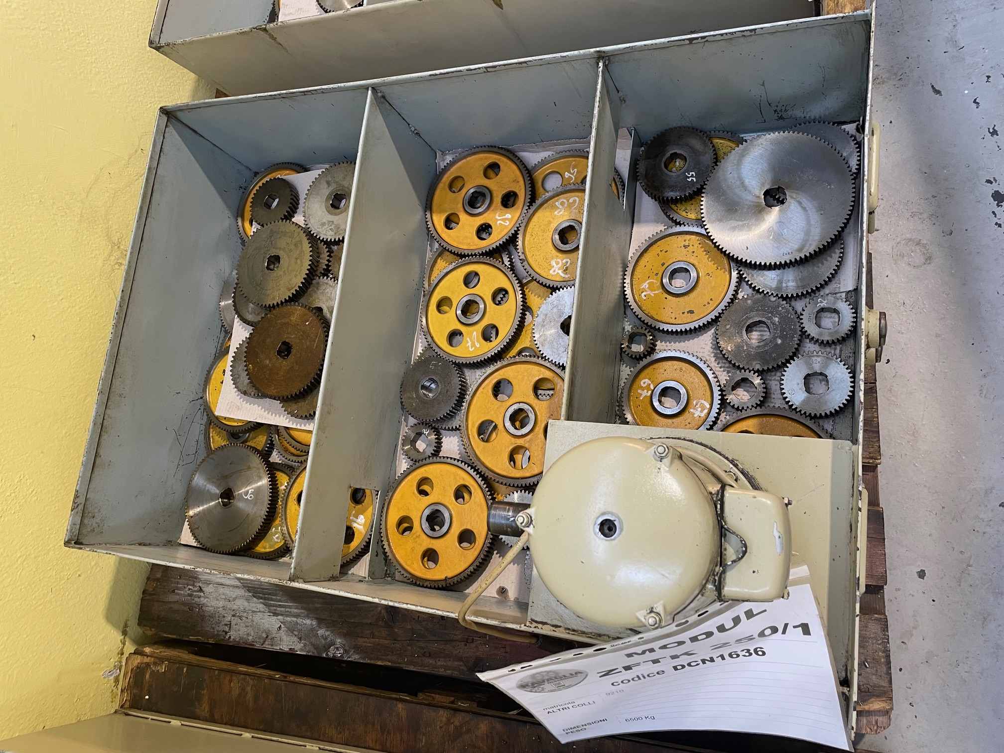 Usato Dentatrice per ingranaggi conici diritti MODUL ZFTK 250/1