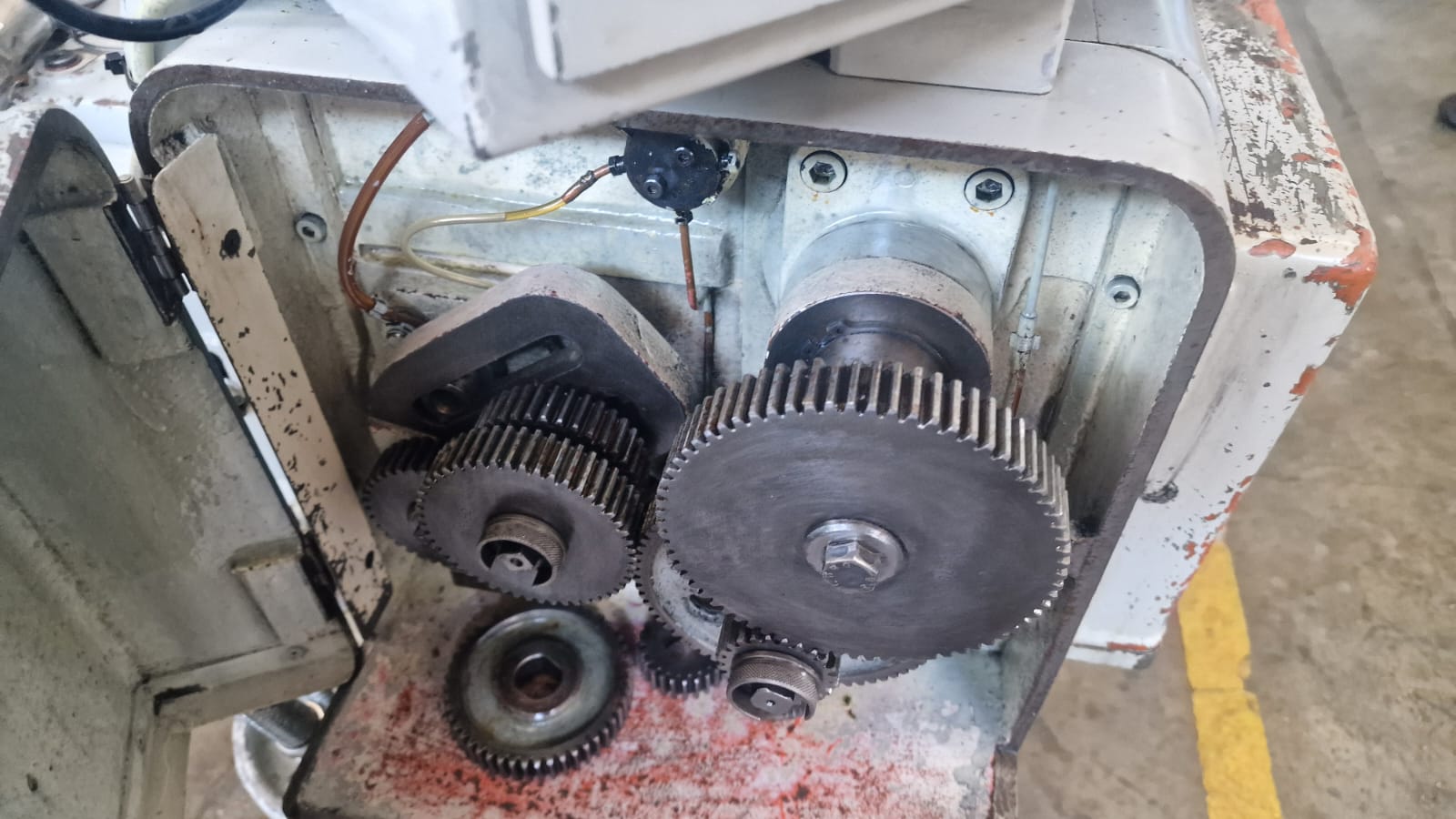 Usato Dentatrice a creatore CIMA P5