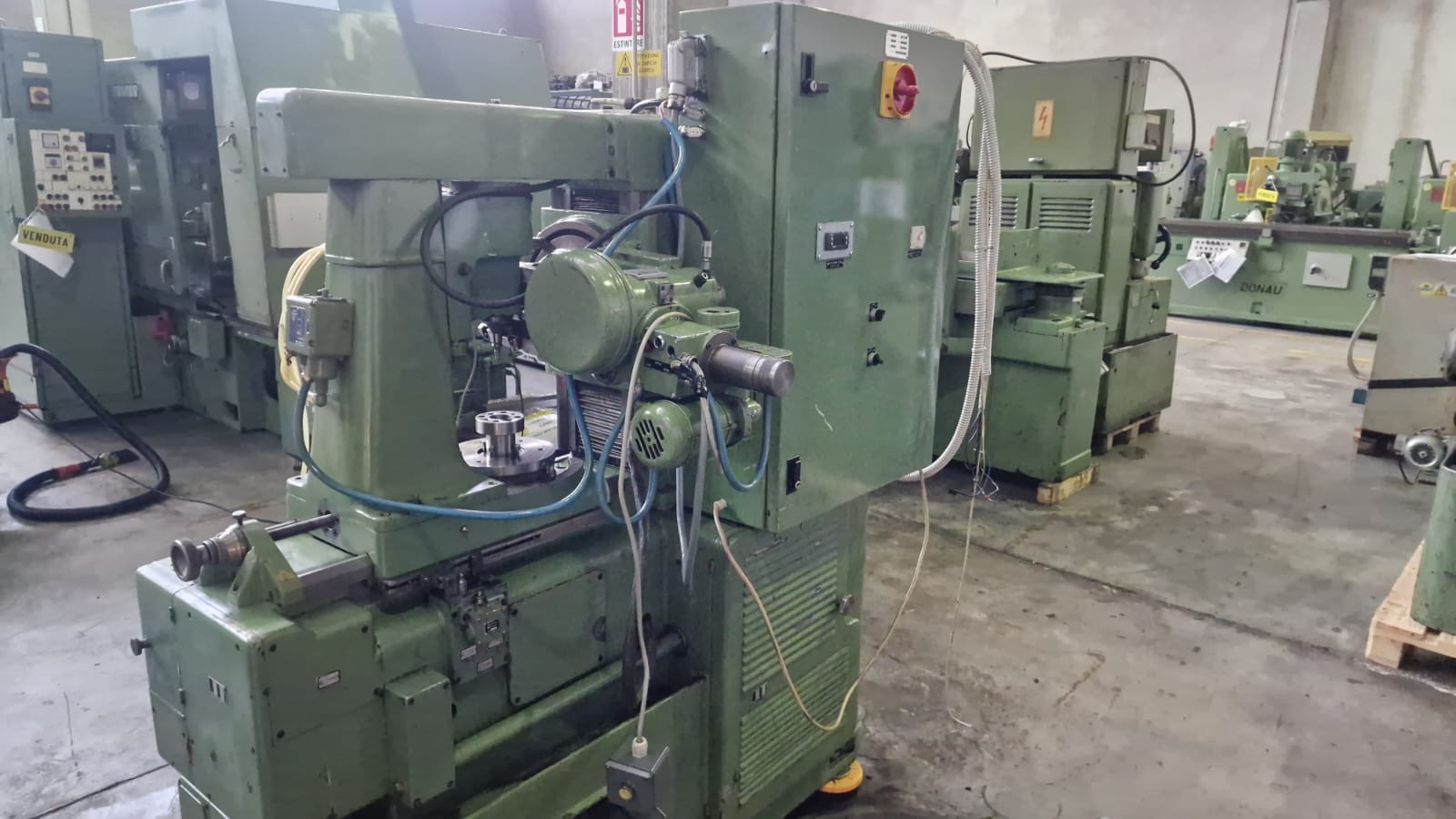 Usato Dentatrice a creatore PFAUTER P 250 S