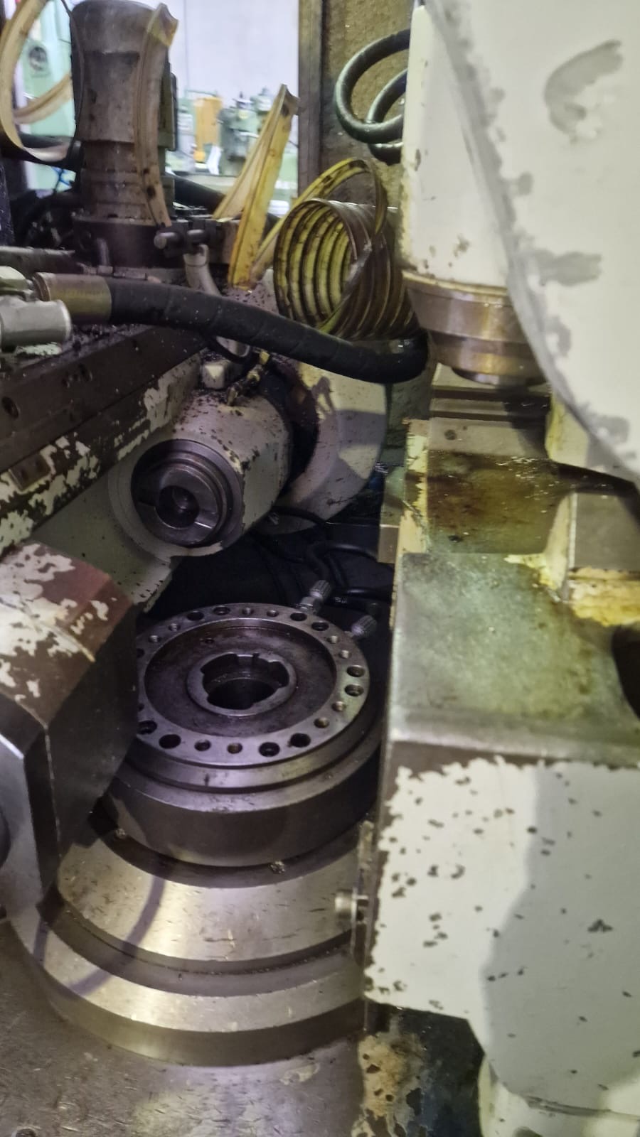 Usato Dentatrice a creatore PFAUTER PA 300 shobber