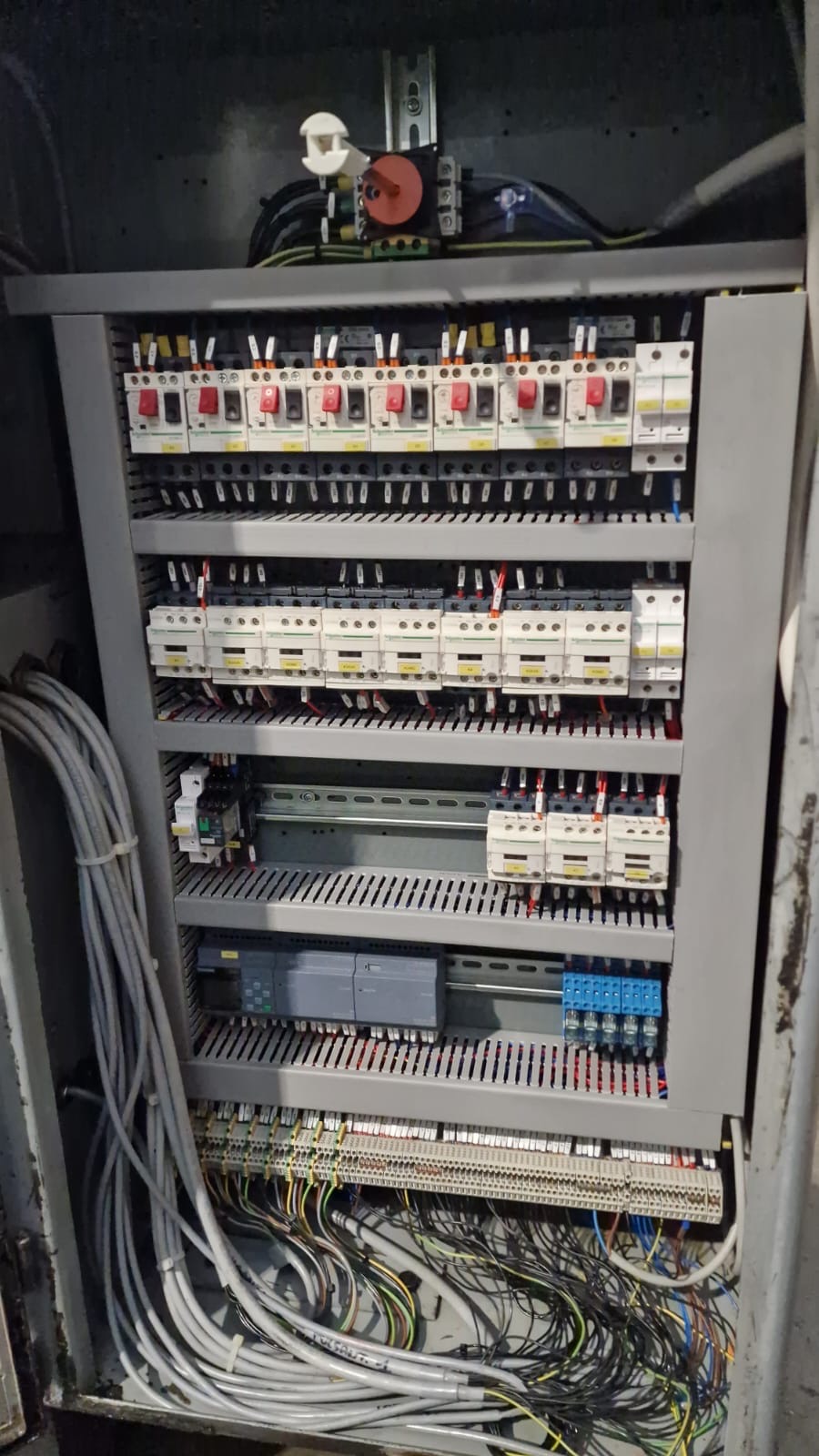 Usato Dentatrice a creatore PFAUTER RS9K