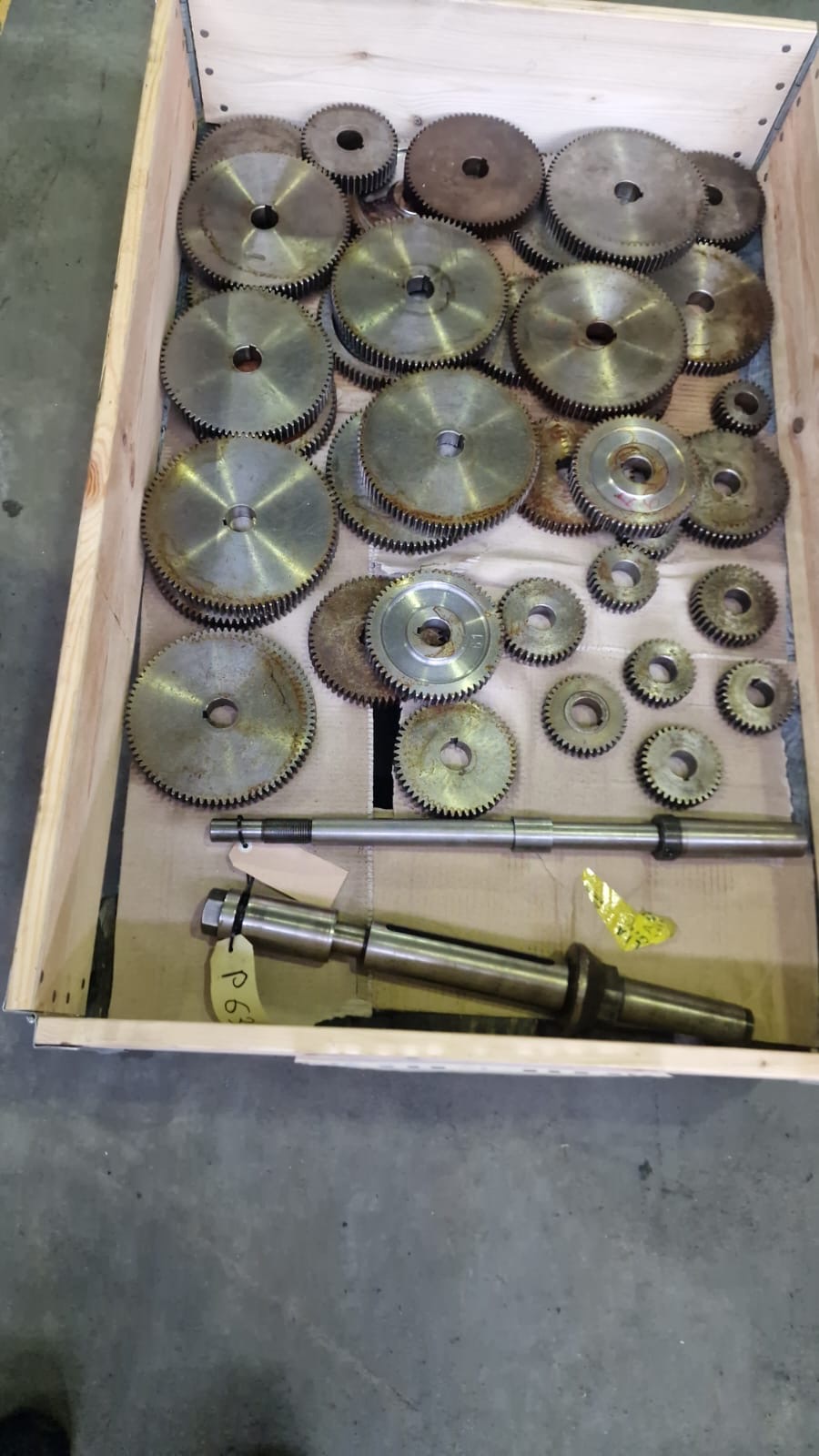 Usato Dentatrice a creatore PFAUTER P 630