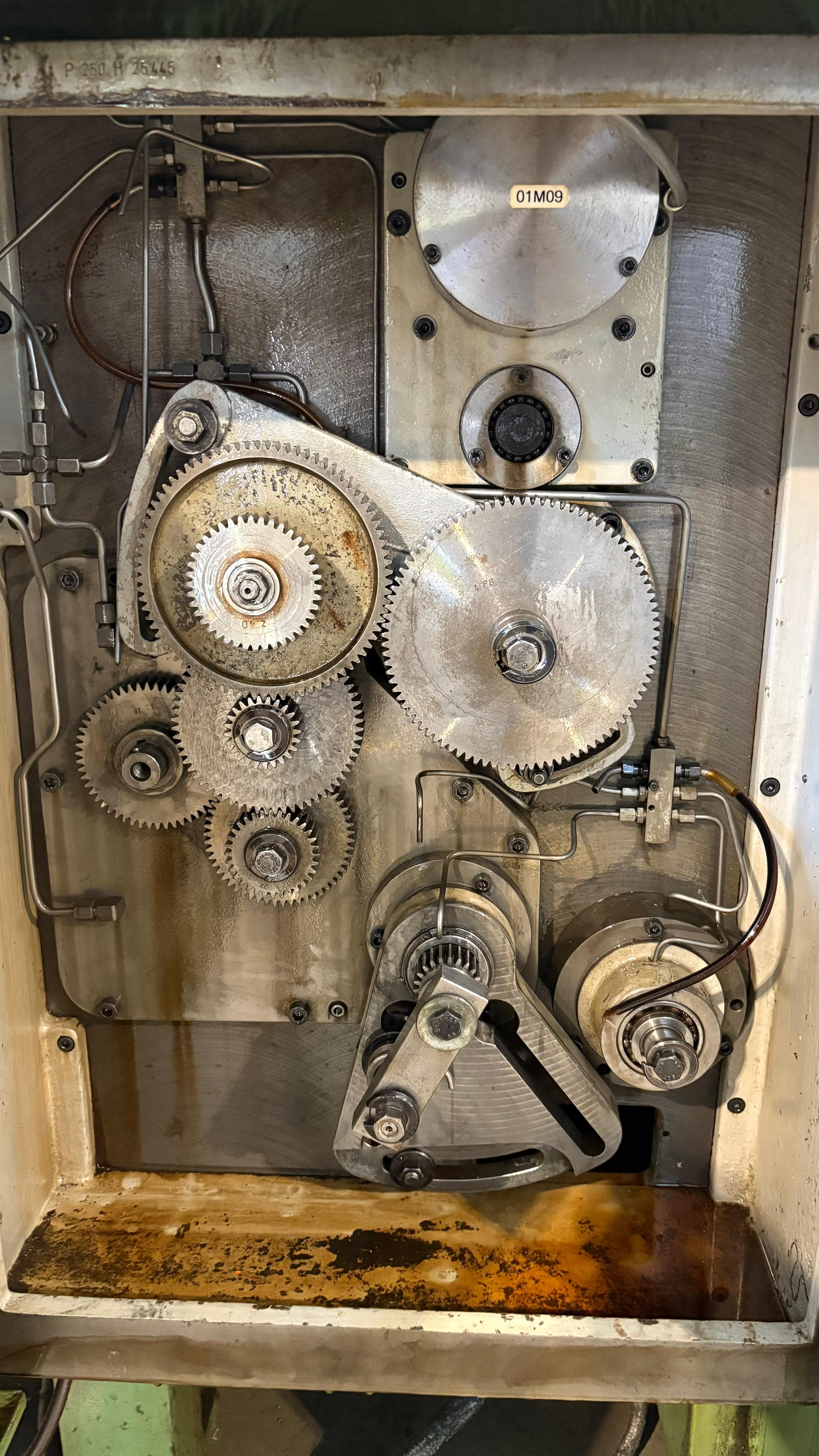 Usato Dentatrice a creatore PFAUTER P 250 H