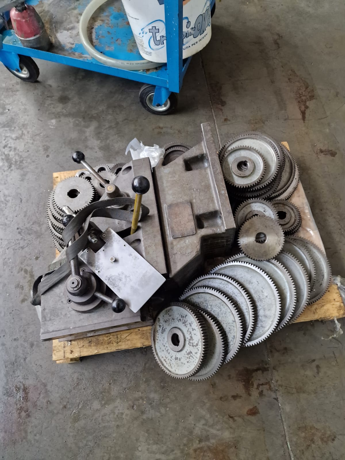 Usato Dentatrice a coltello LORENZ SNJ5