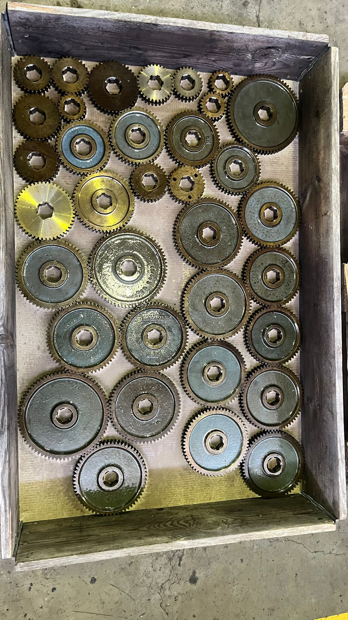 Usato Dentatrice a creatore LIEBHERR L 301