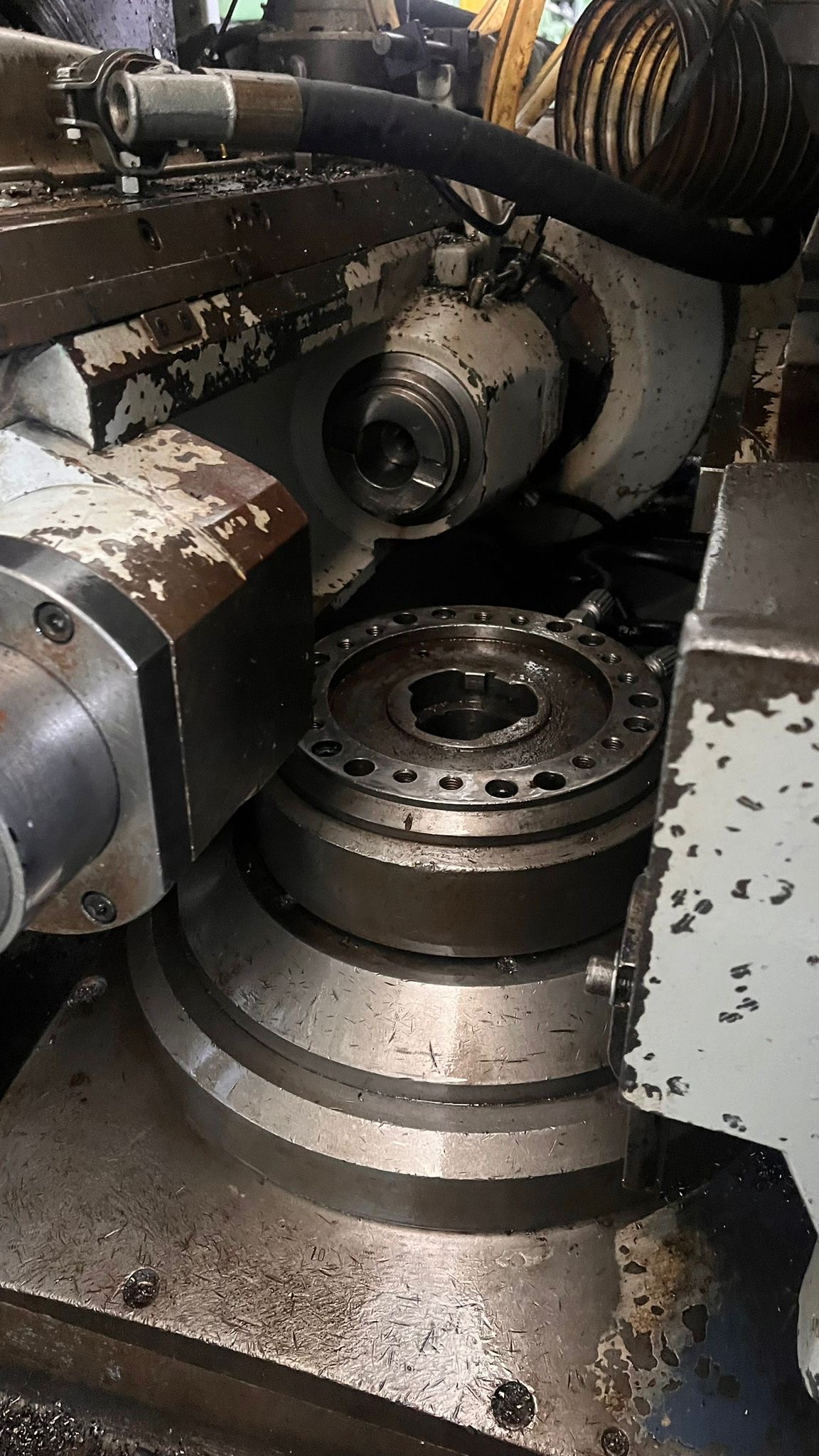 Usato Dentatrice a creatore PFAUTER PA 300 shobber