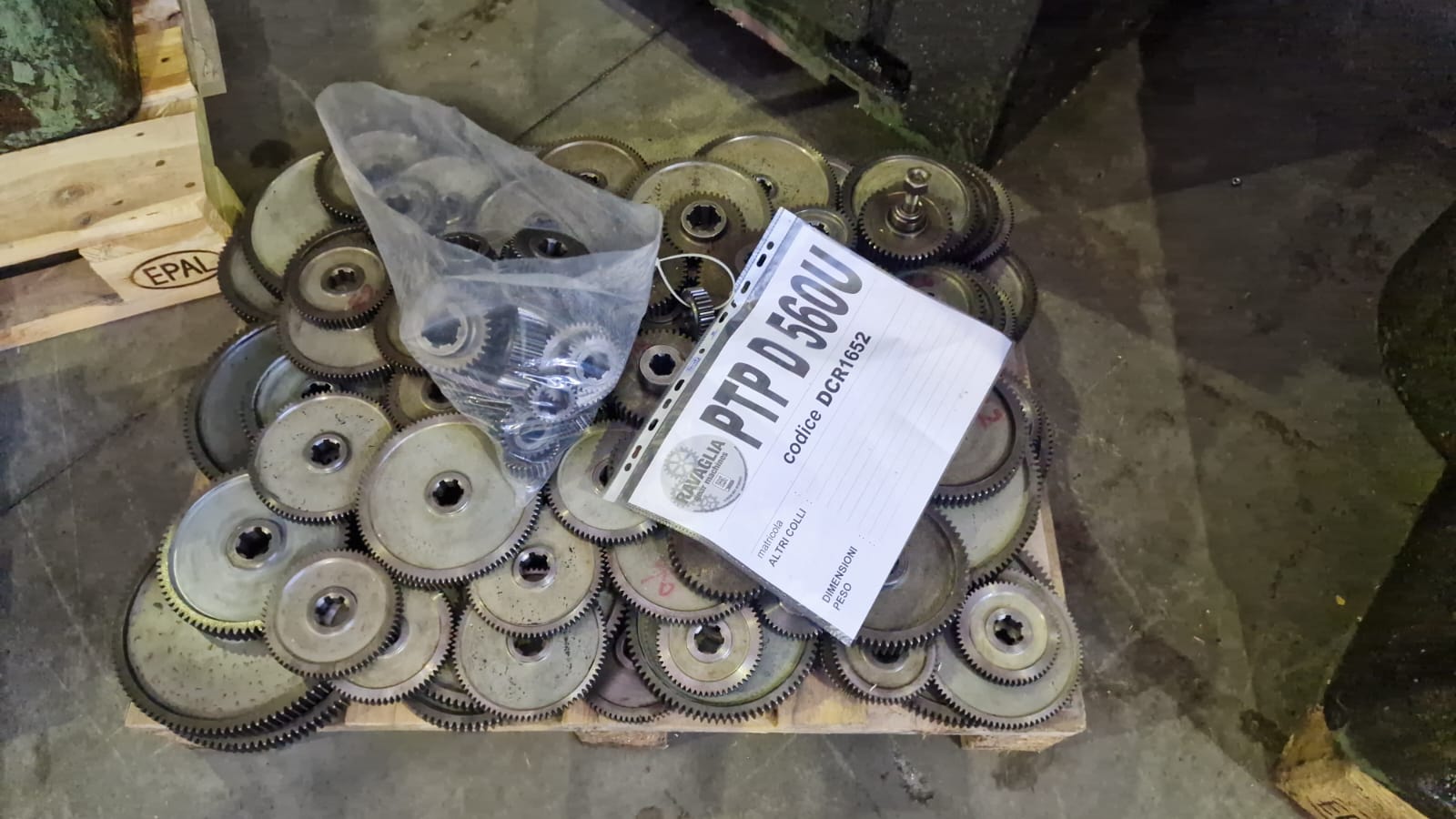 Usato Dentatrice a creatore PTP D560-UA