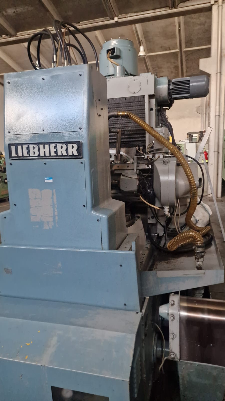 Usato Dentatrice a creatore LIEBHERR L 652