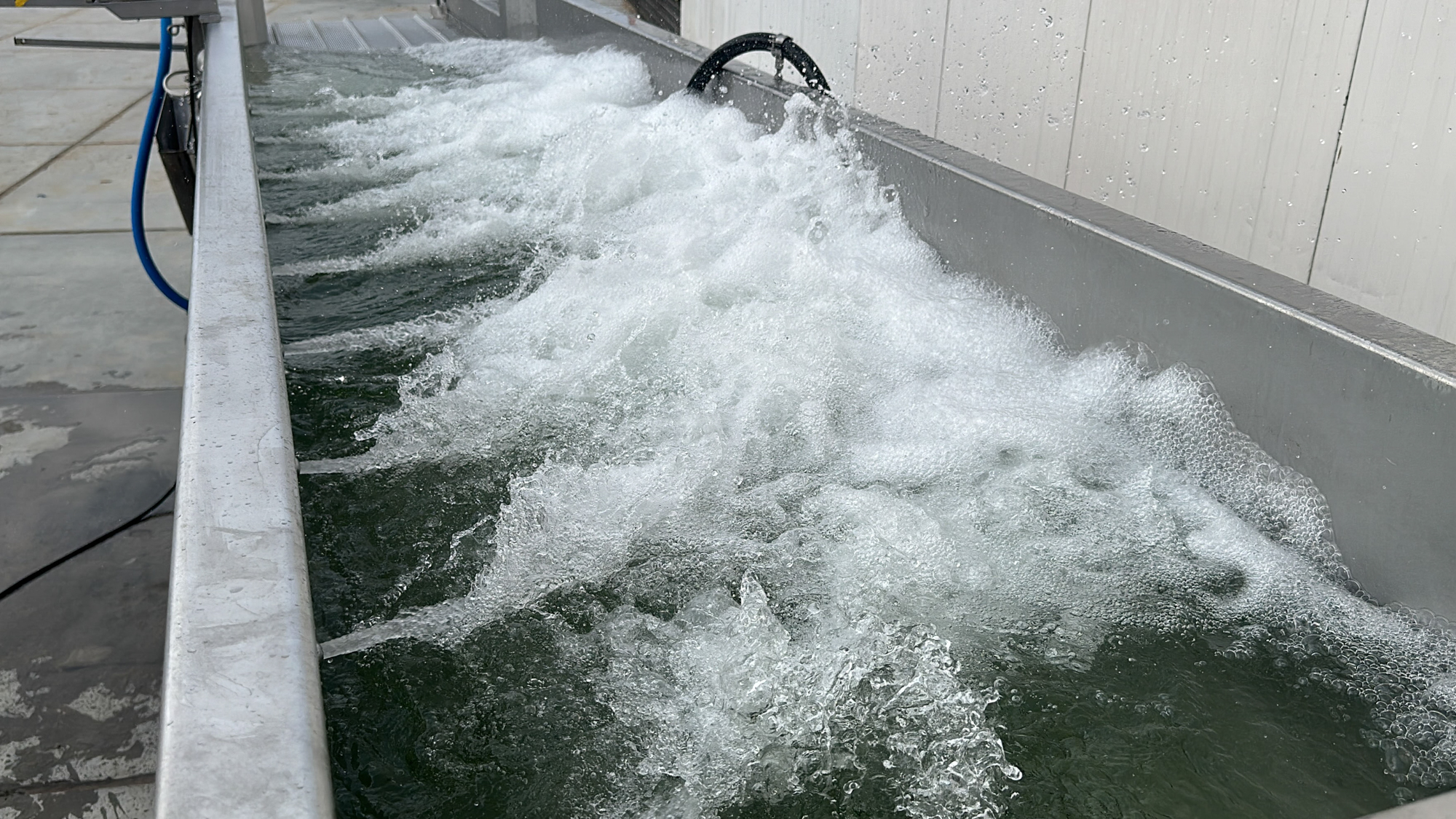 Used 2006 Kronen GEWA 5000V washing machine