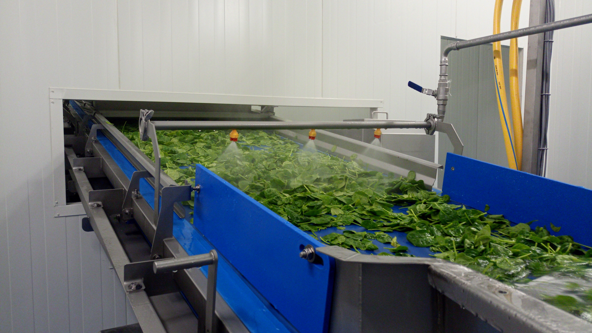 Used 2017 FTNON Turatti complete high capacity washing and drying line