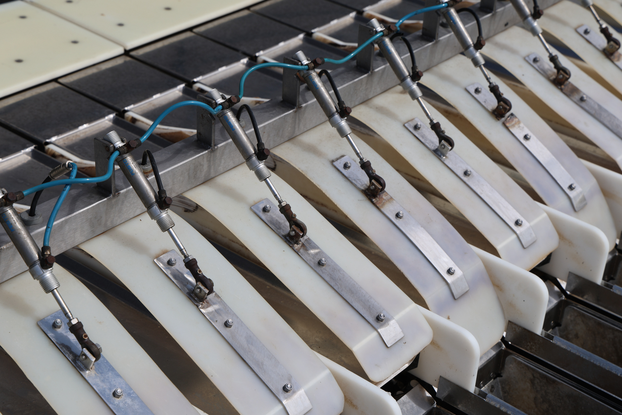 Used Newtec 2012DG weigher