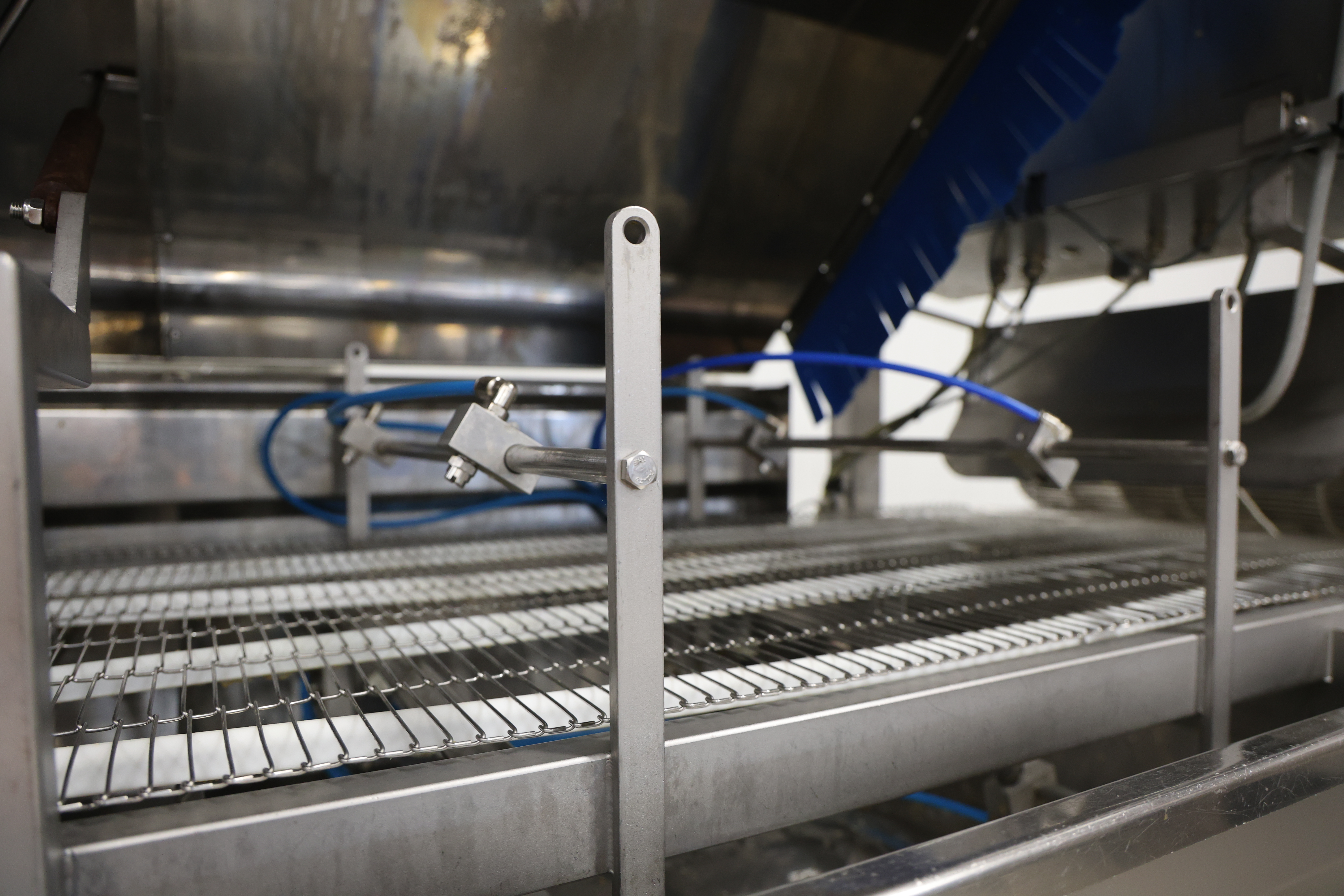 Used 2017 Marel Fillet washer