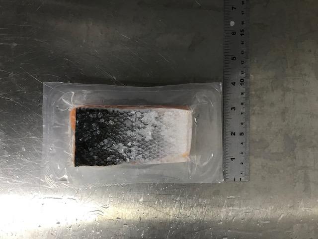 Used 2015 Variovac primus thermoformer