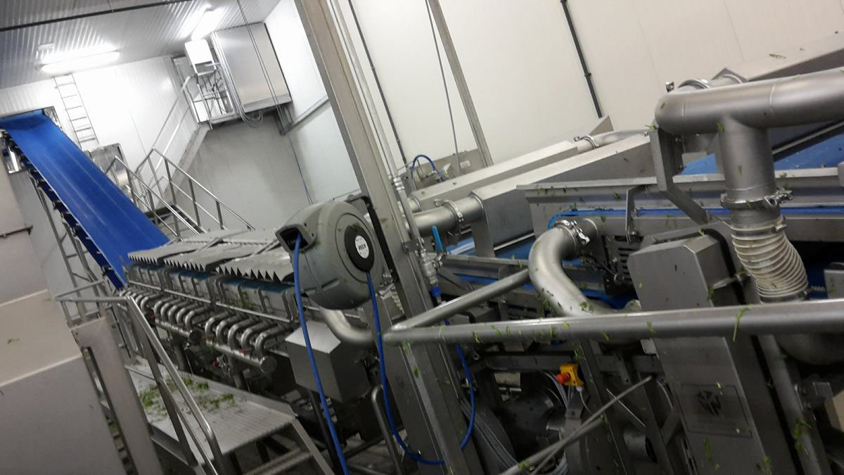 Used 2017 FTNON Turatti complete high capacity washing and drying line