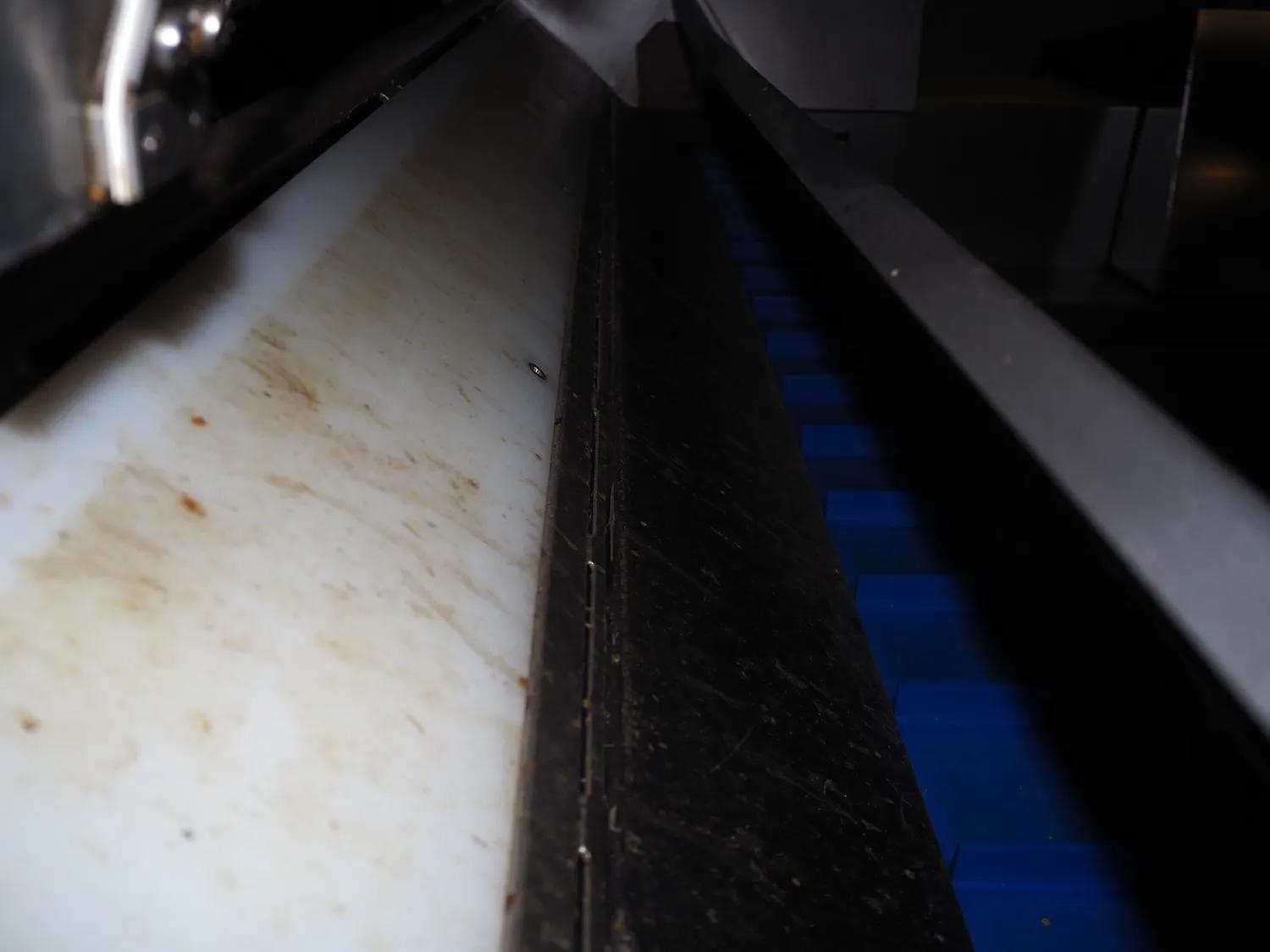 Used Newtec H3013MD Lineair weighing line