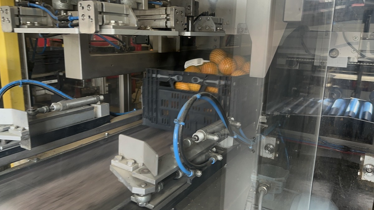 Used 2016 Case packing systems