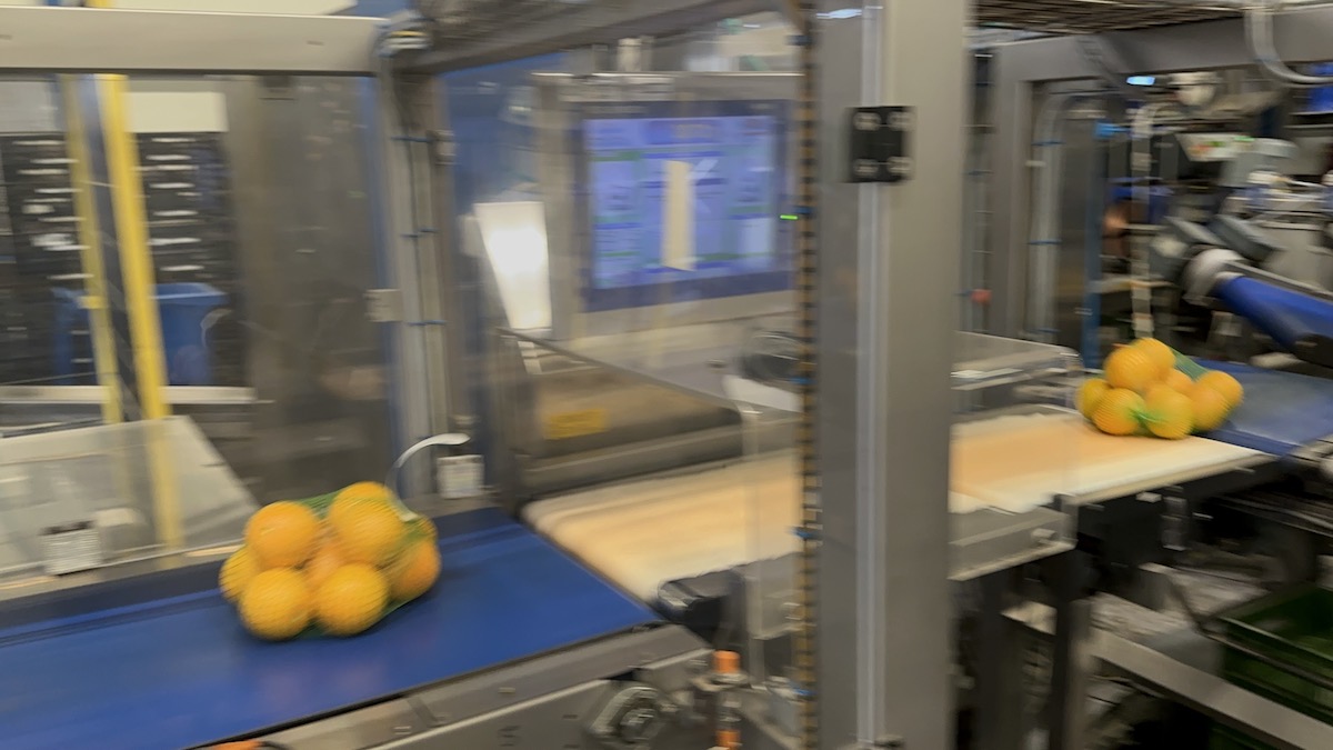 Used 2016 Case packing systems