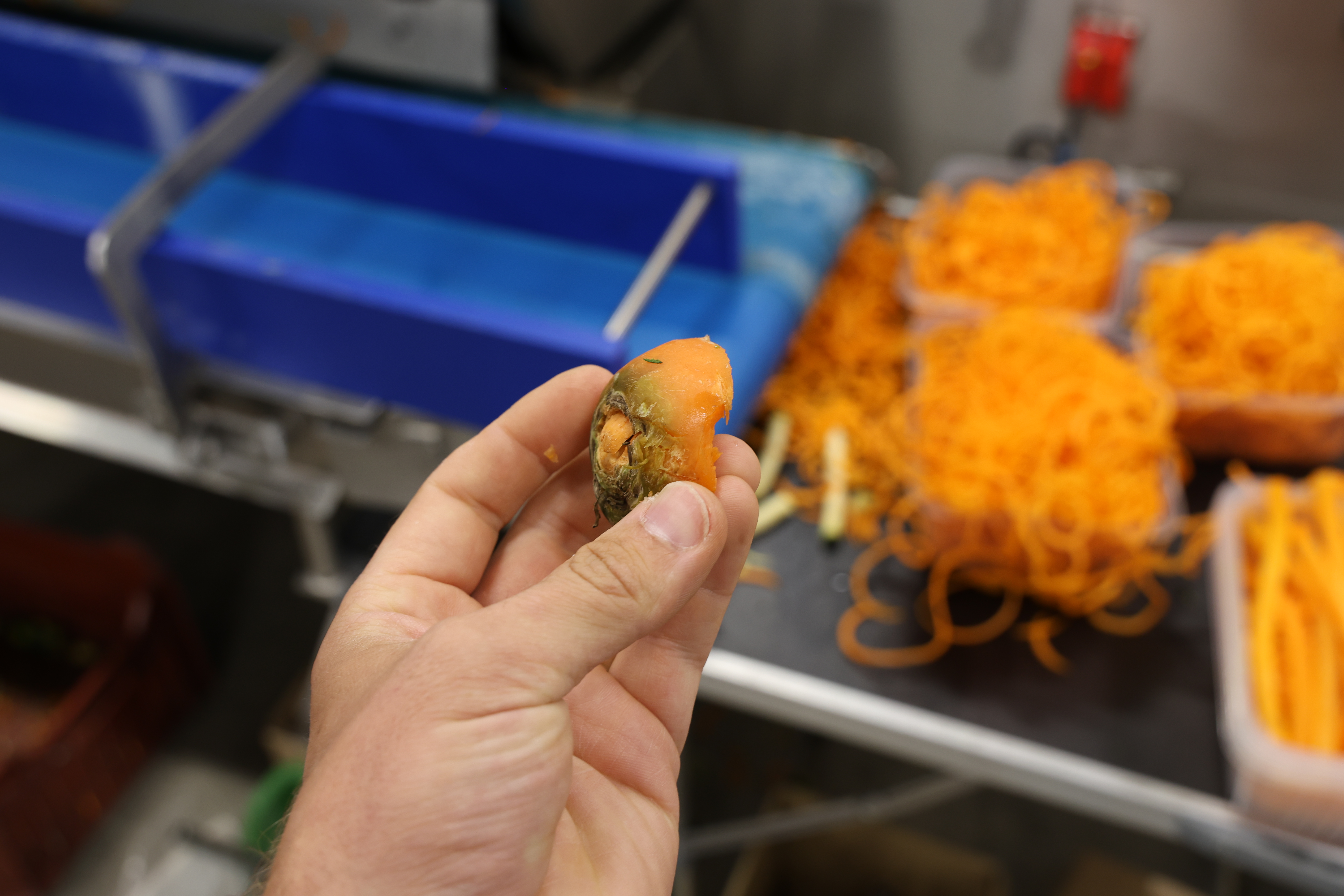 Used 2017 Turatti automatic spiralizer