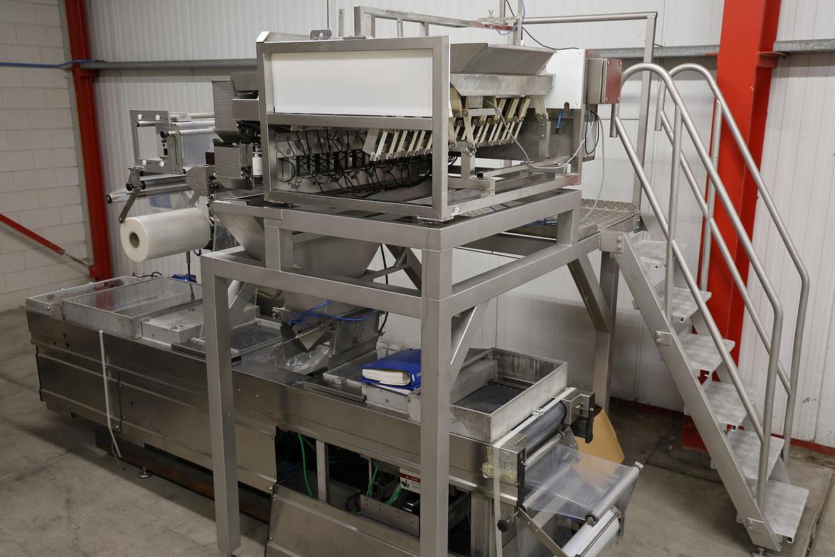 Used Newtec - Multivac Ultra compact automatic packing line