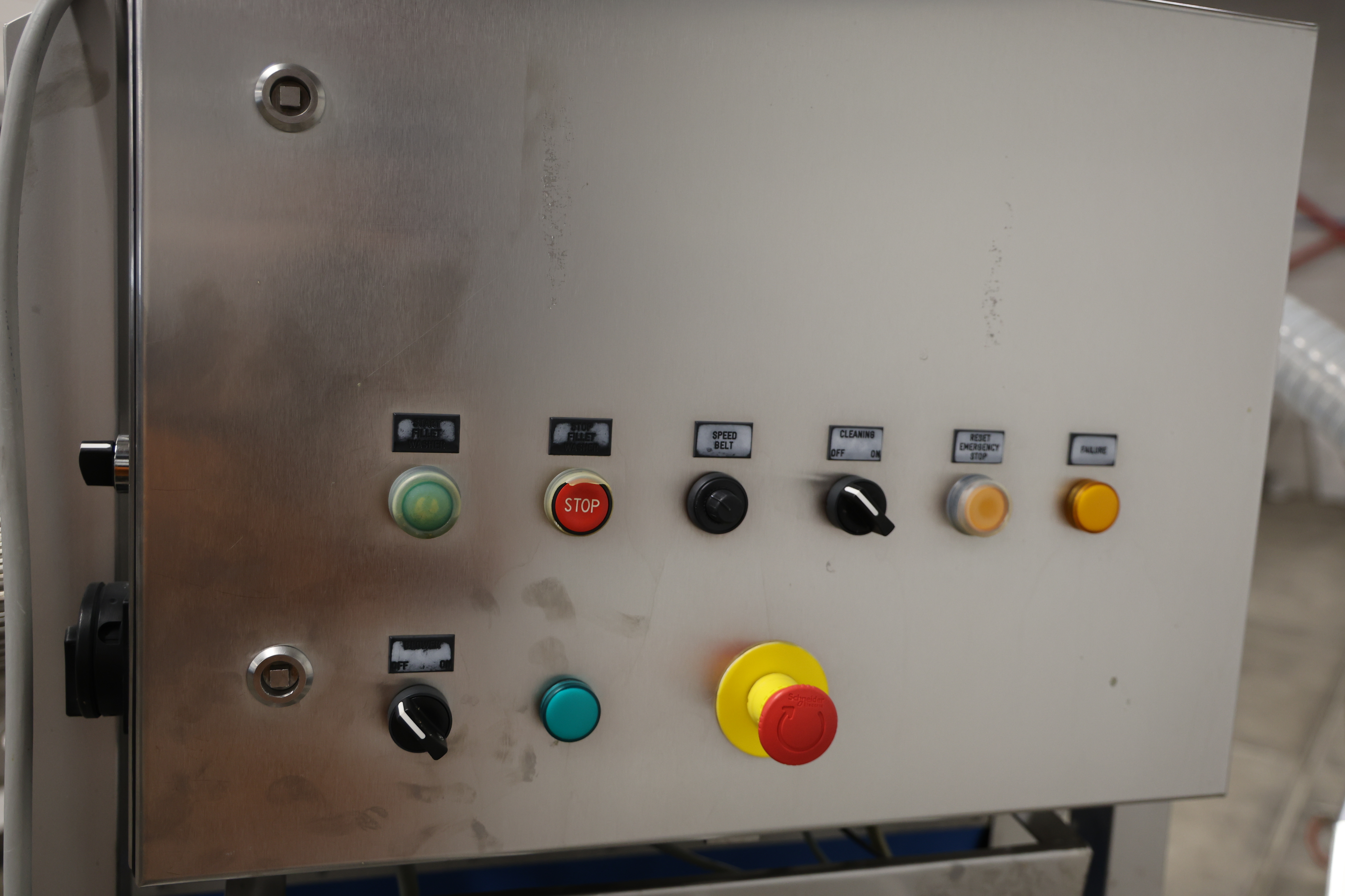 Used 2017 Marel Fillet washer