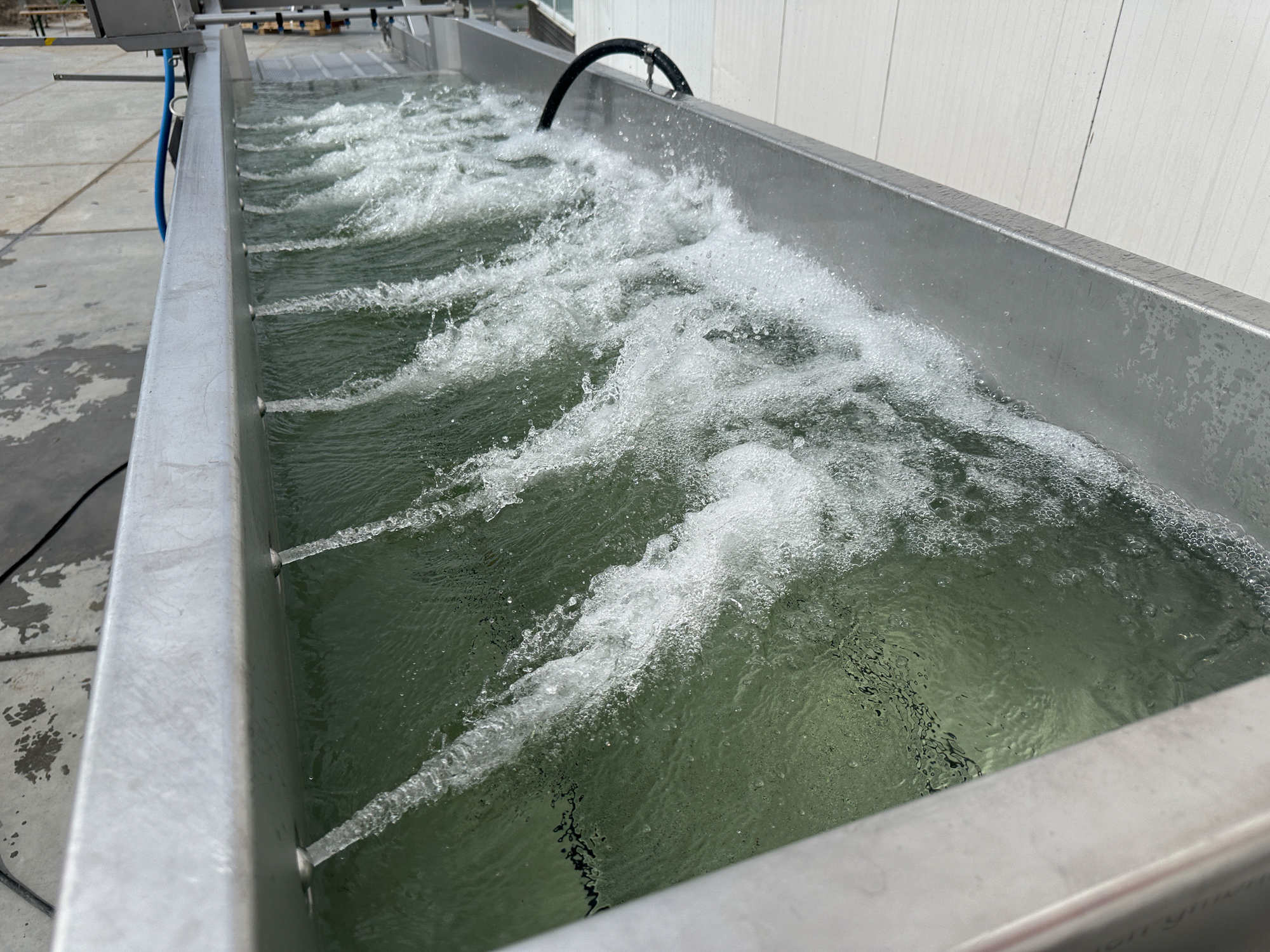 Used 2006 Kronen GEWA 5000V washing machine