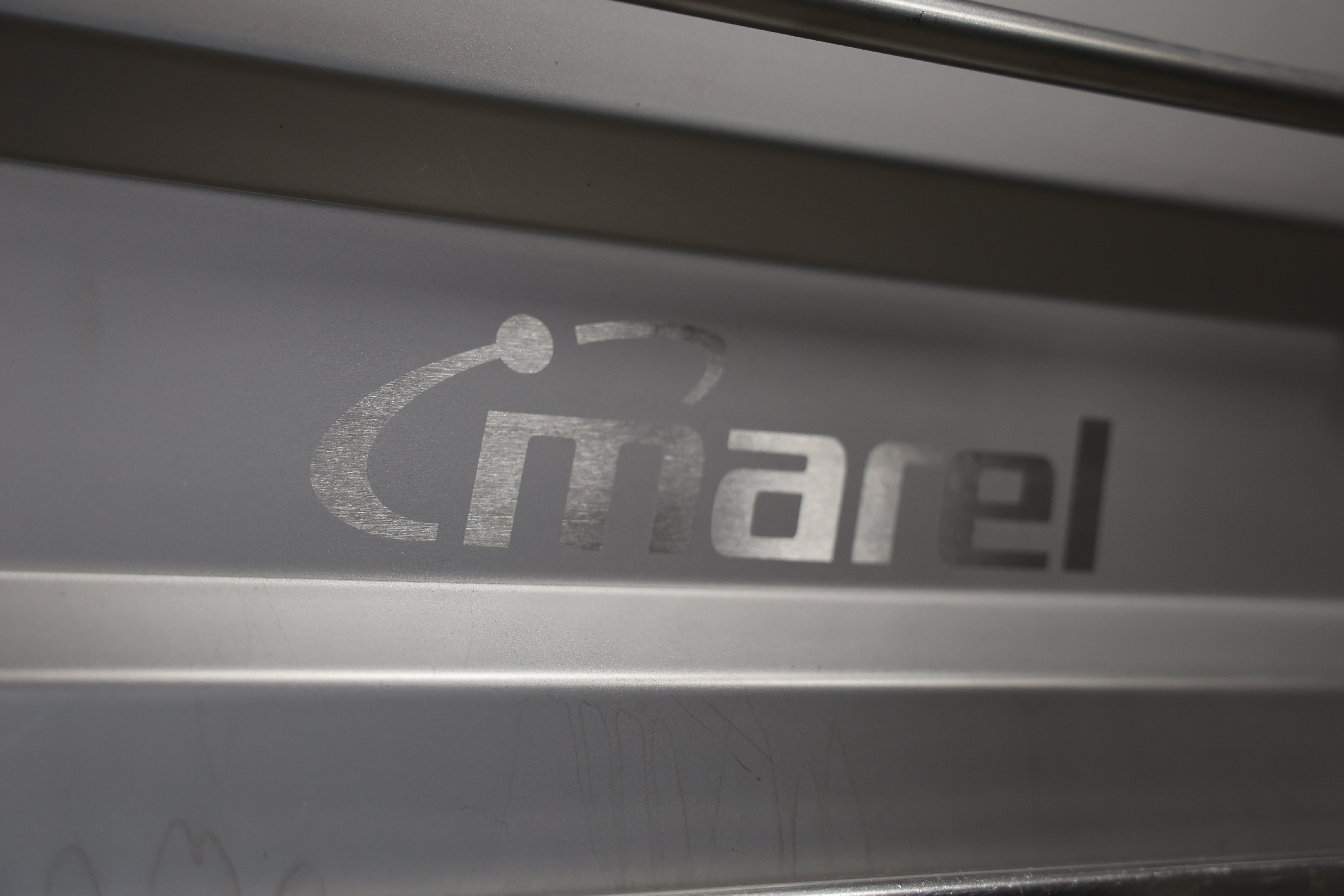 Used 2017 Marel Fillet washer